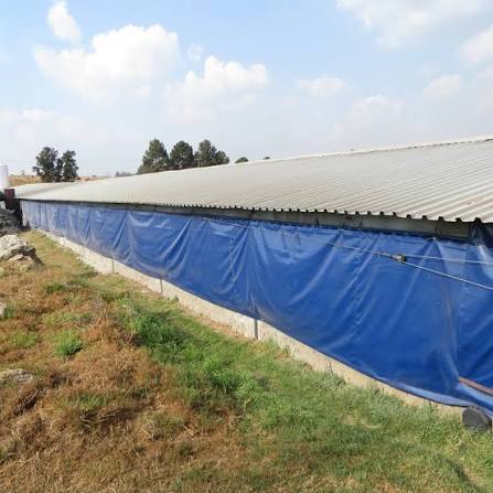 HDPE Tarpaulin